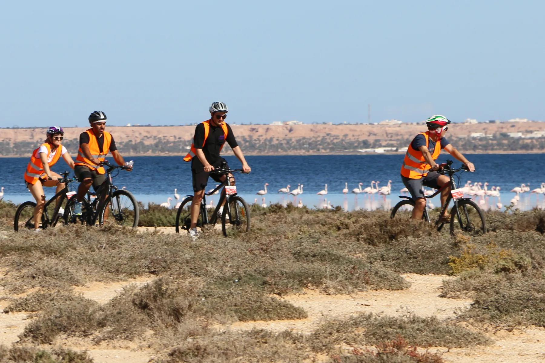 Groupe de cyclistes Nadhoor Bikes au bord de l'eau, des flamants roses derrière eux