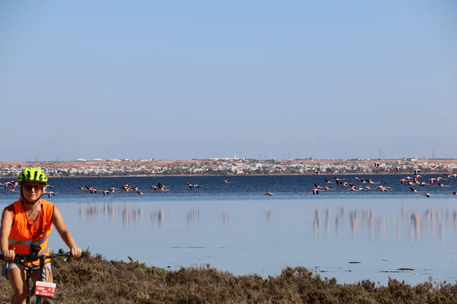 À vélo le long de la lagune aux flamants roses