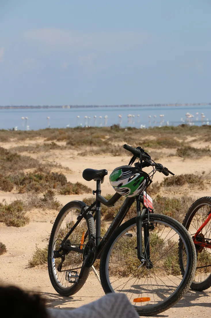 Un vélo et son casque face à la lagune et aux flamants roses