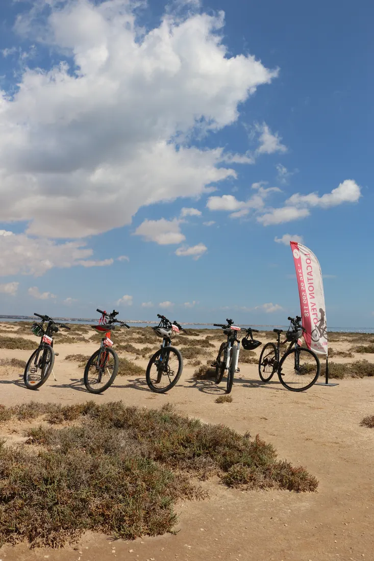 Cinq vélos alignés sur la presqu'île, la lagune derrière