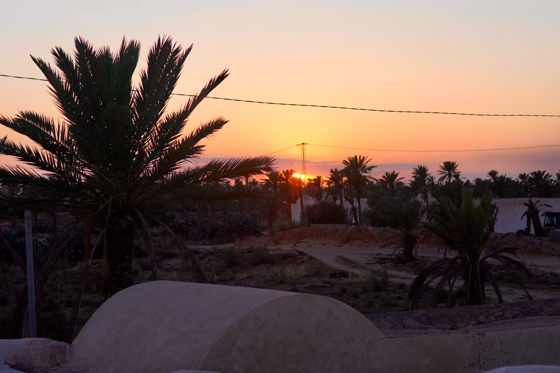 Coucher de soleil sur les coupoles d'un menzel, palmeraie de Djerba